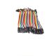 Cables Jumper / Dupont x 10 Hembra - Hembra 10 cm